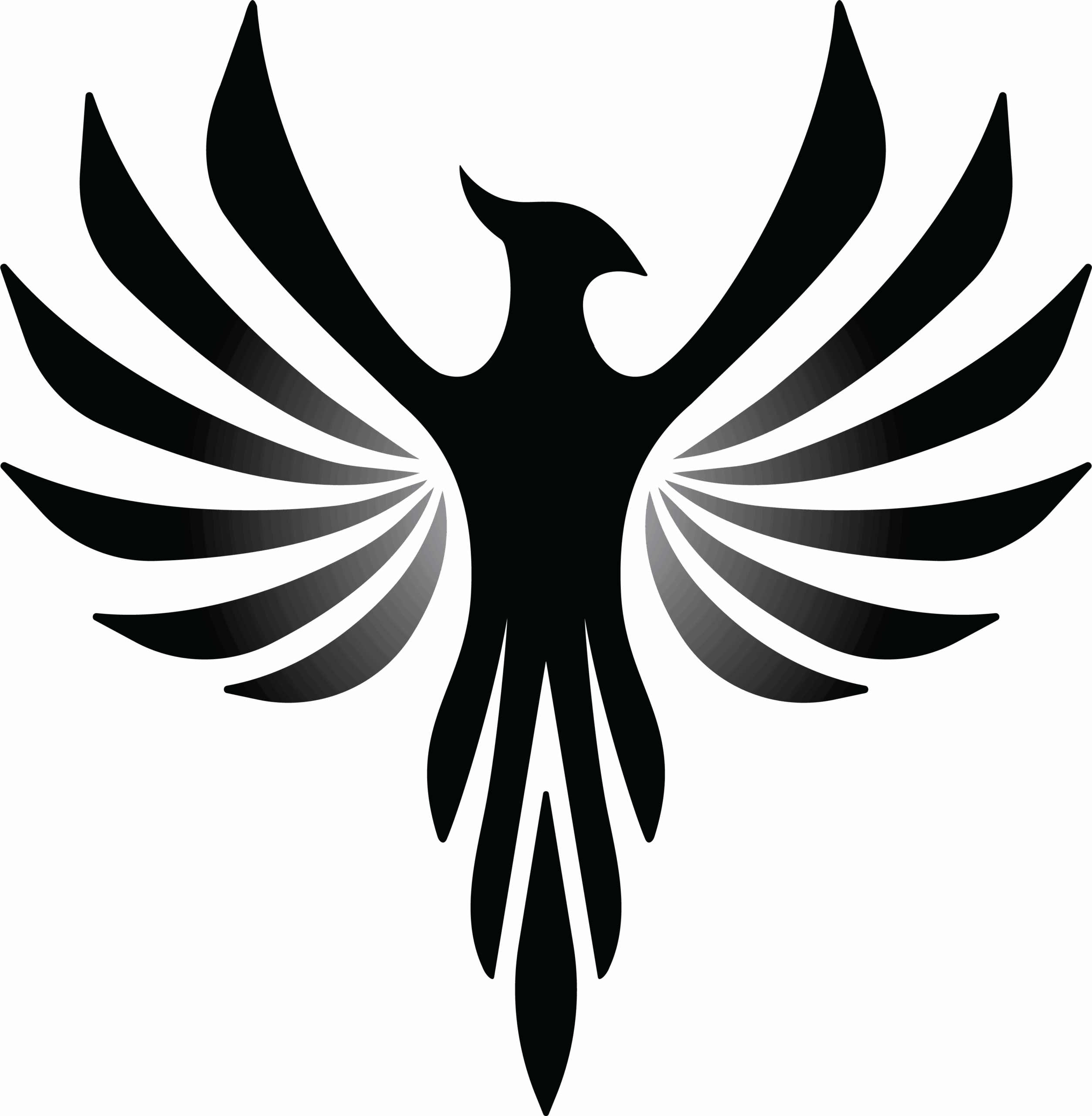 PHX Hydration Energy logo